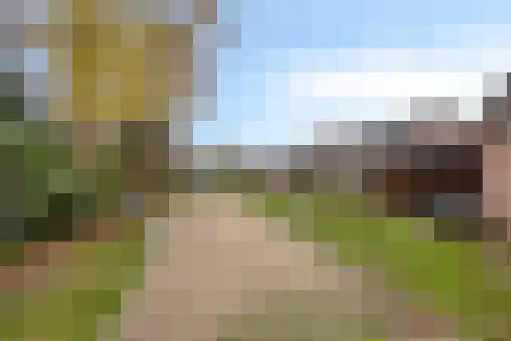 Van Apeldoornshof 25 Heerde thumbnail 38