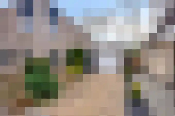 Van Apeldoornshof 25 Heerde thumbnail 39