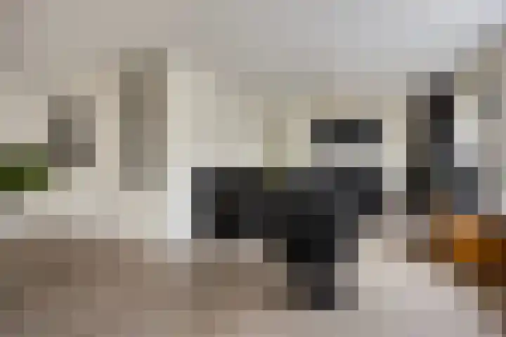 Van Apeldoornshof 25 Heerde thumbnail 4