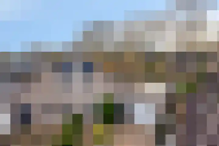 Van Apeldoornshof 25 Heerde thumbnail 43