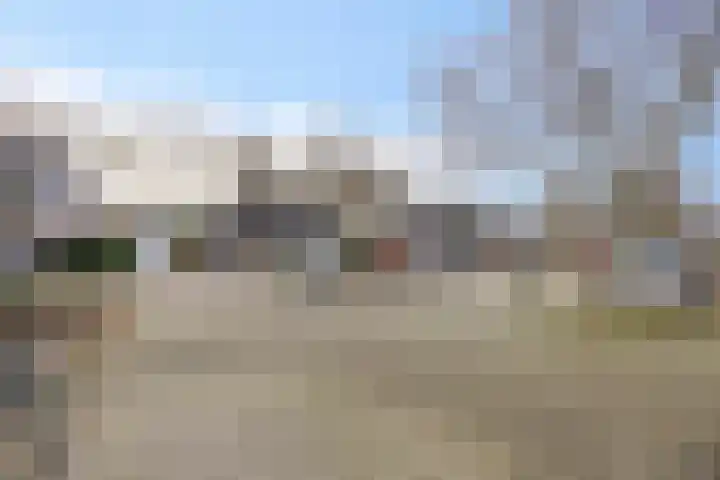 Van Apeldoornshof 25 Heerde thumbnail 44