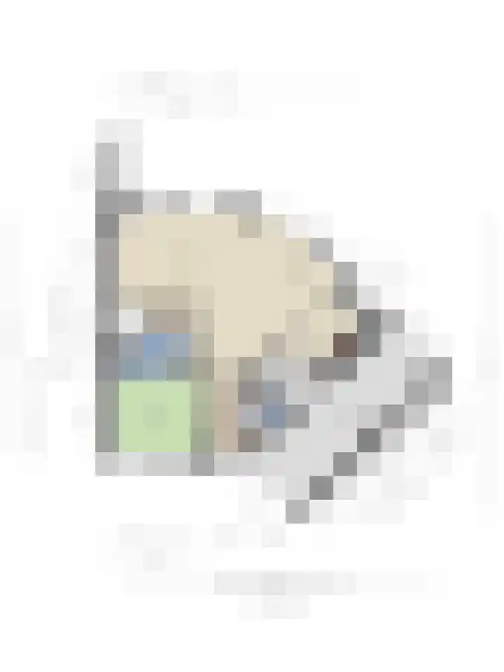 Van Apeldoornshof 25 Heerde thumbnail 45
