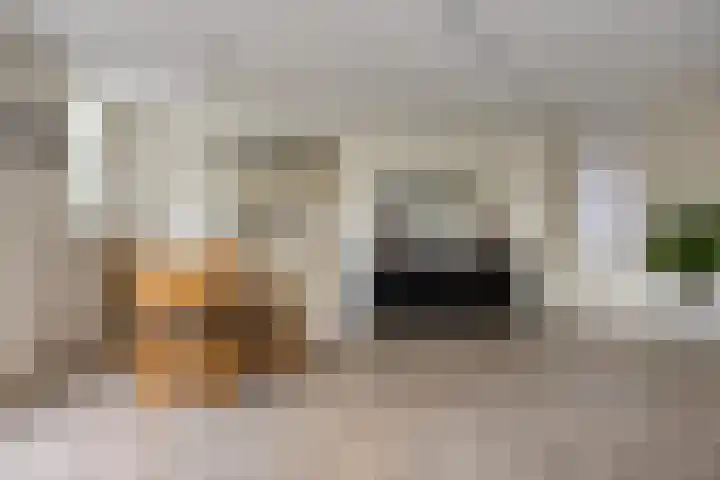 Van Apeldoornshof 25 Heerde thumbnail 7