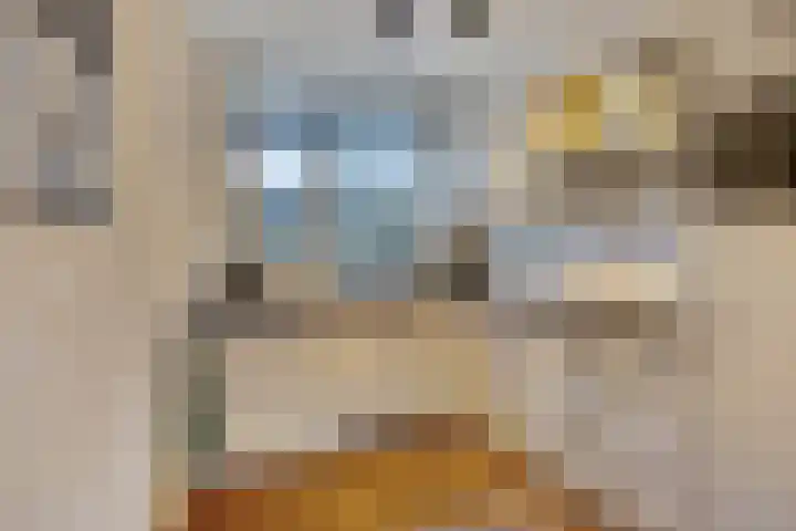 Van Apeldoornshof 4 Heerde thumbnail 10