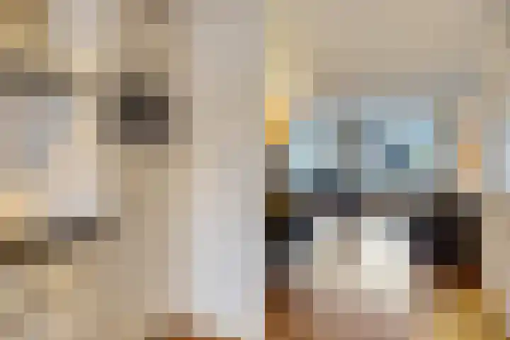Van Apeldoornshof 4 Heerde thumbnail 12