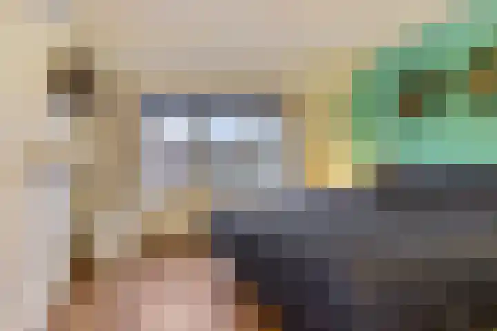 Van Apeldoornshof 4 Heerde thumbnail 17