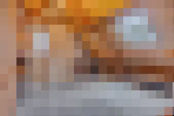 Van Apeldoornshof 4 Heerde thumbnail 23