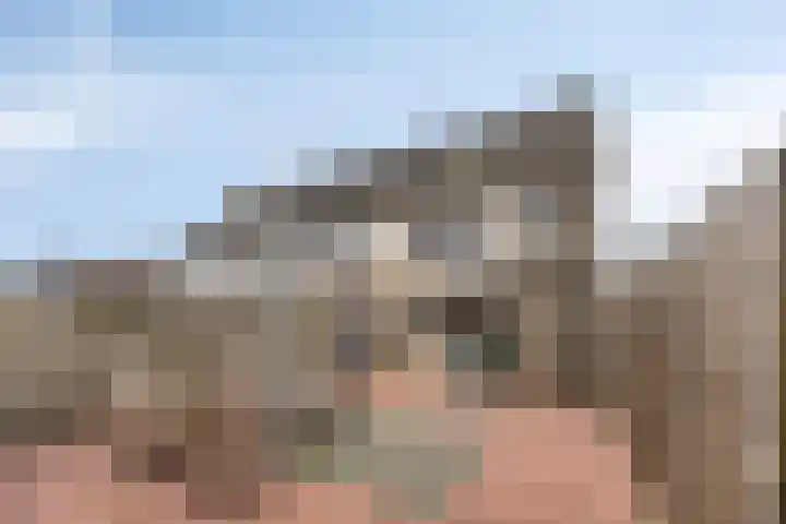 Van Apeldoornshof 4 Heerde thumbnail 25