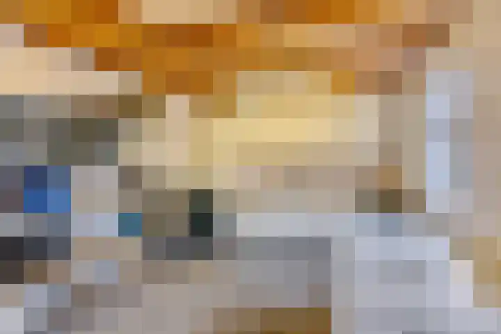Van Apeldoornshof 4 Heerde thumbnail 28