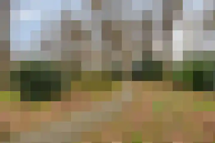 Van Apeldoornshof 4 Heerde thumbnail 30