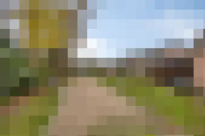 Van Apeldoornshof 4 Heerde thumbnail 31