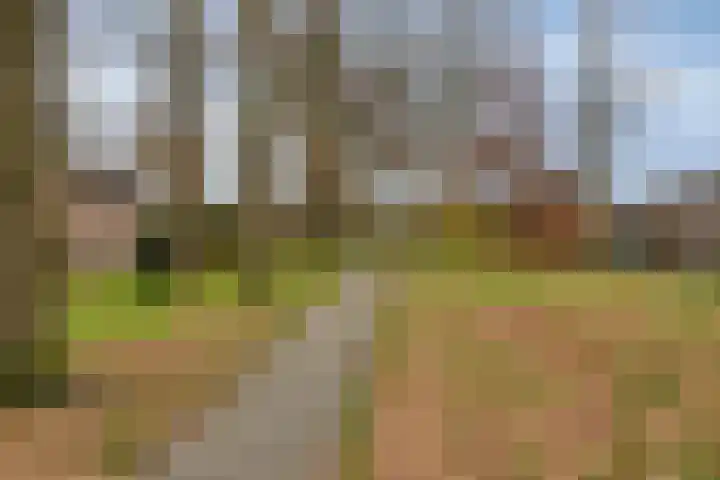 Van Apeldoornshof 4 Heerde thumbnail 32