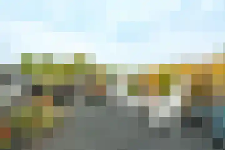 Van Appelthornhof 44 Wageningen thumbnail 23