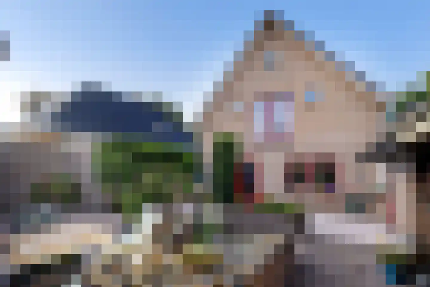 van Arckelweg 2 a Renswoude thumbnail 47