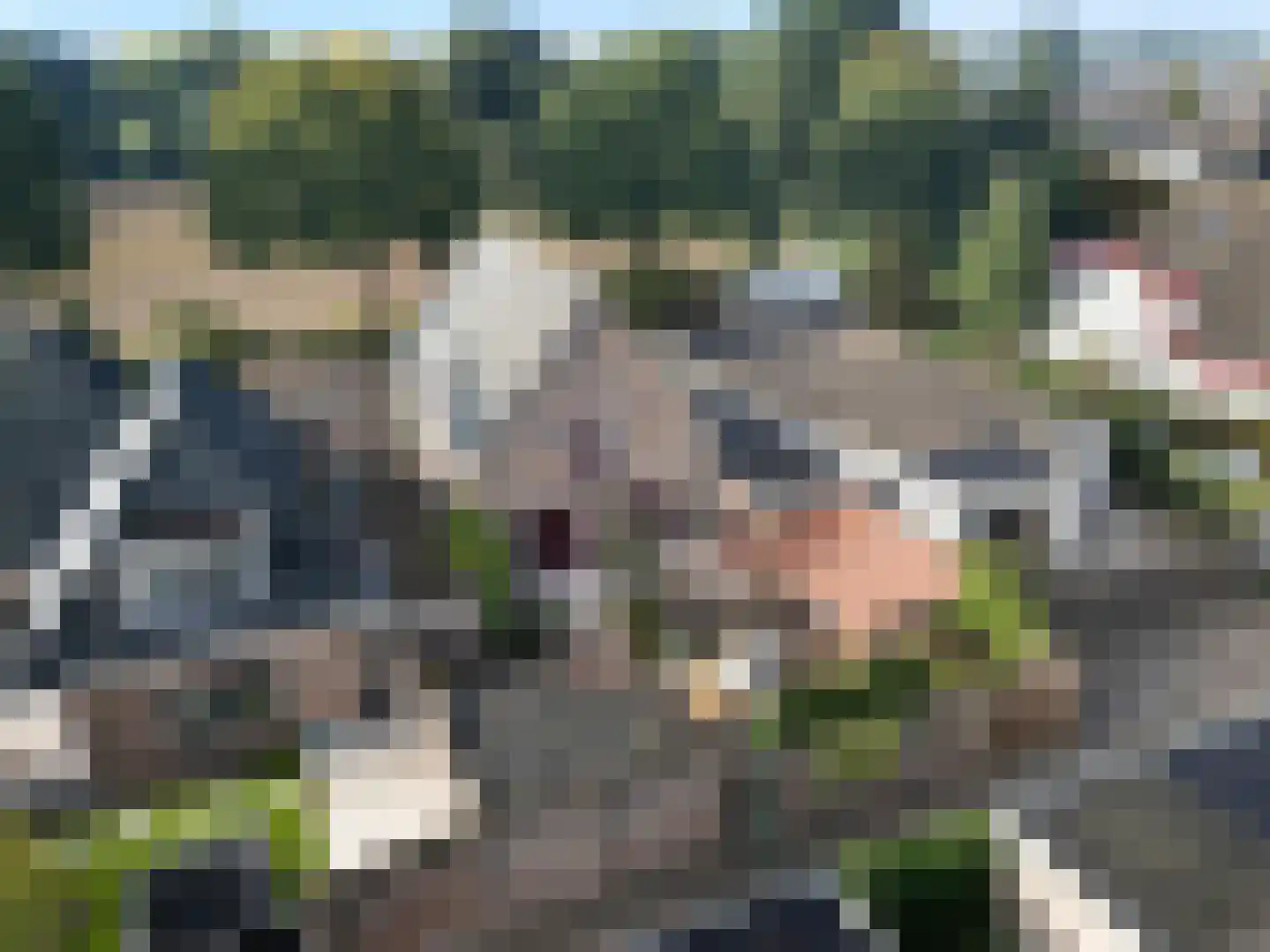 van Arckelweg 2 a Renswoude thumbnail 51