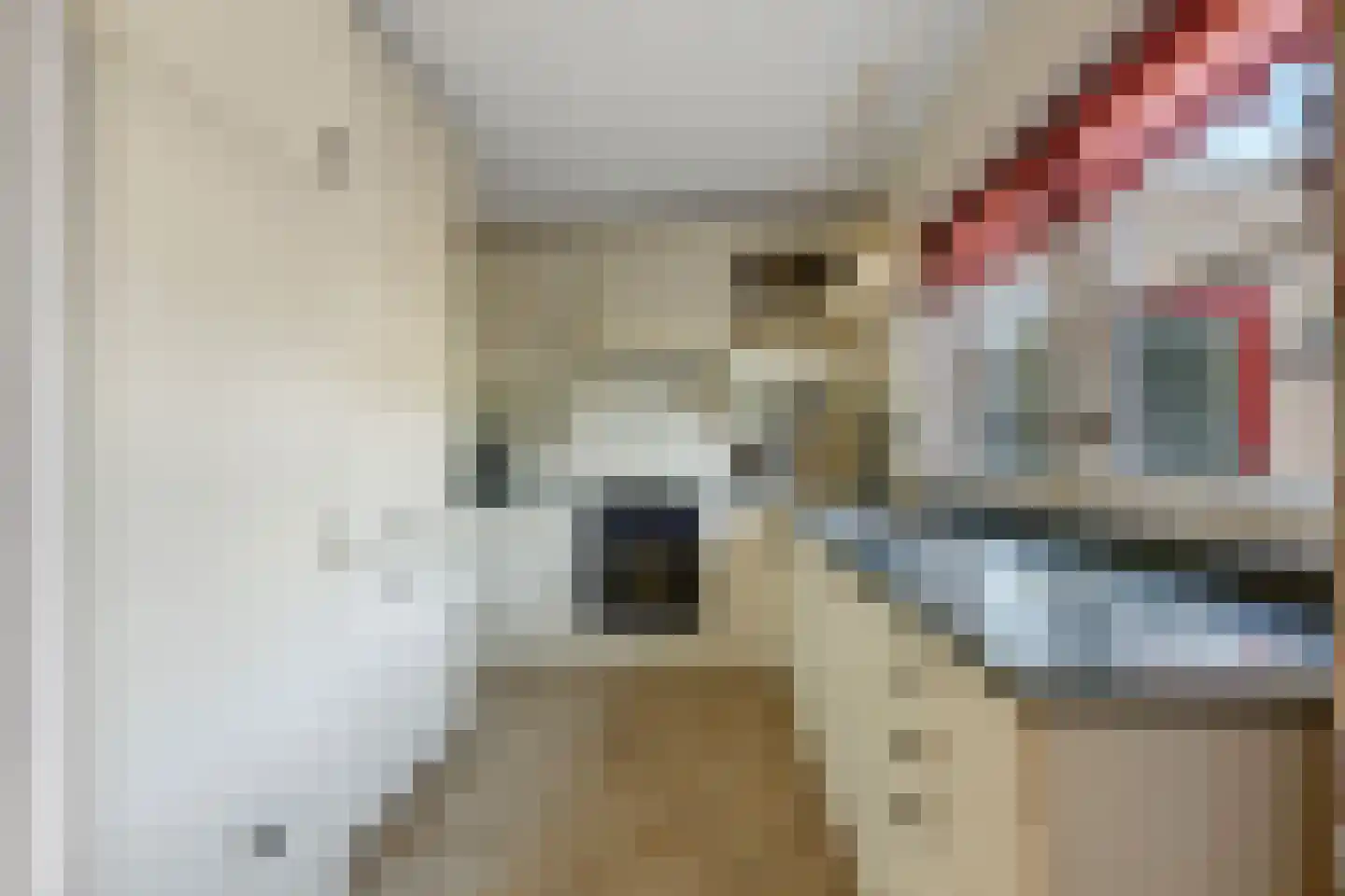 van Arckelweg 2 a Renswoude thumbnail 8