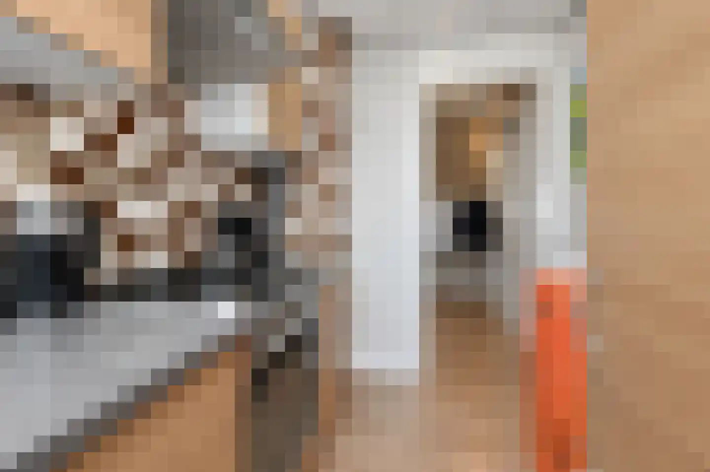 van Arembergelaan 12 Voorburg thumbnail 16