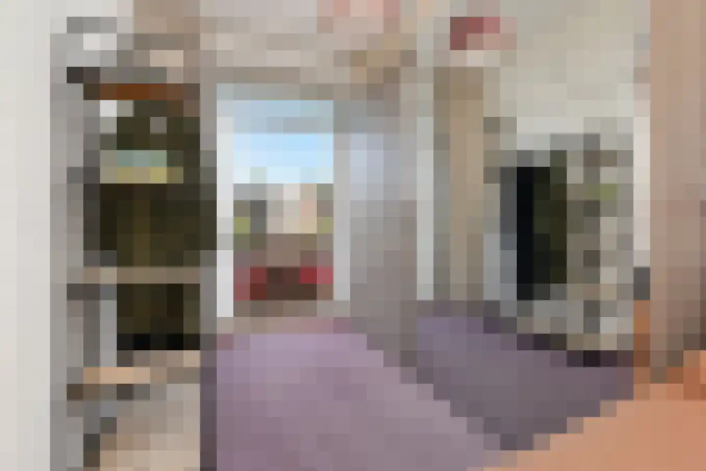 van Arembergelaan 12 Voorburg thumbnail 17