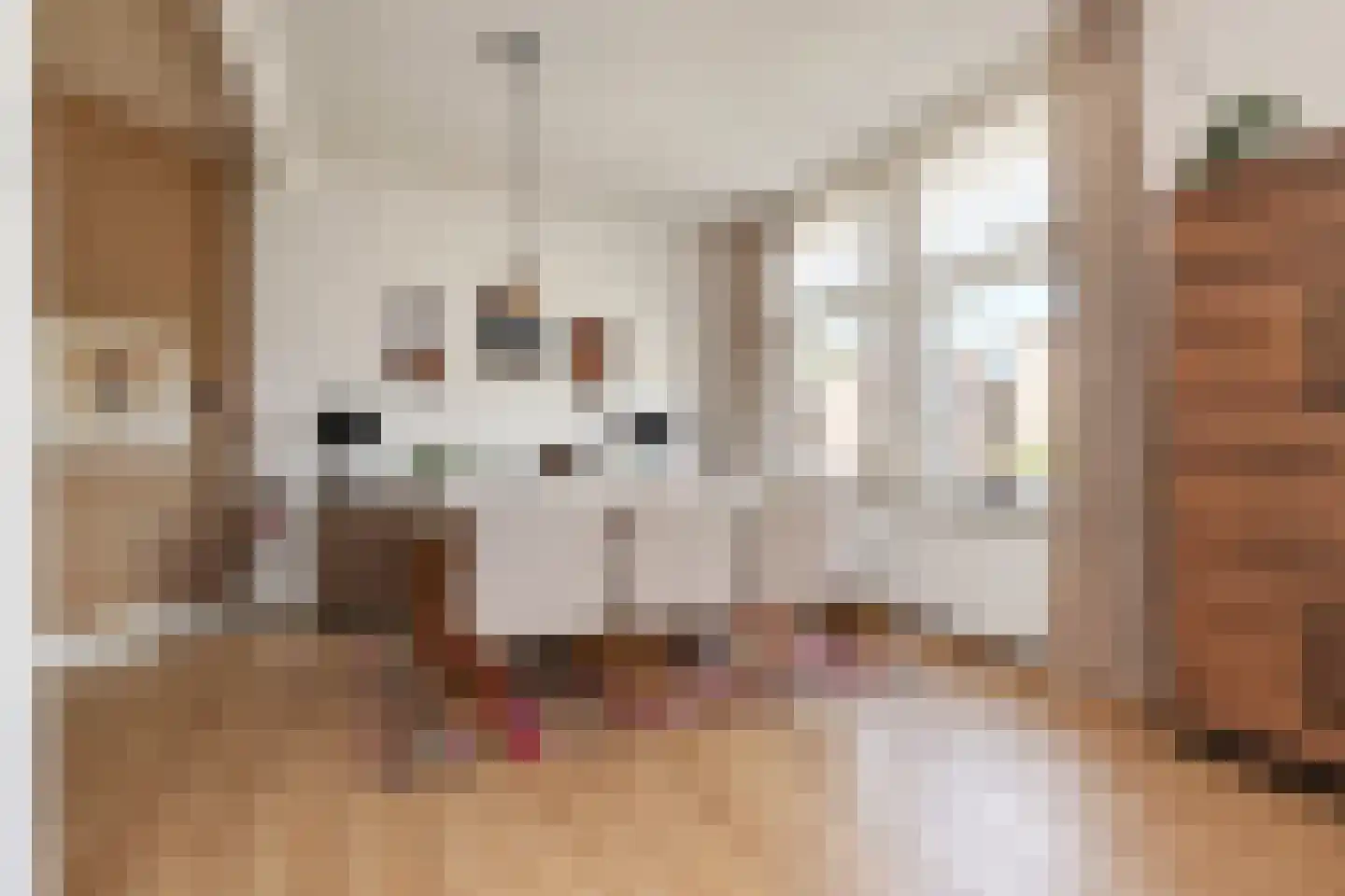 van Arembergelaan 12 Voorburg thumbnail 26