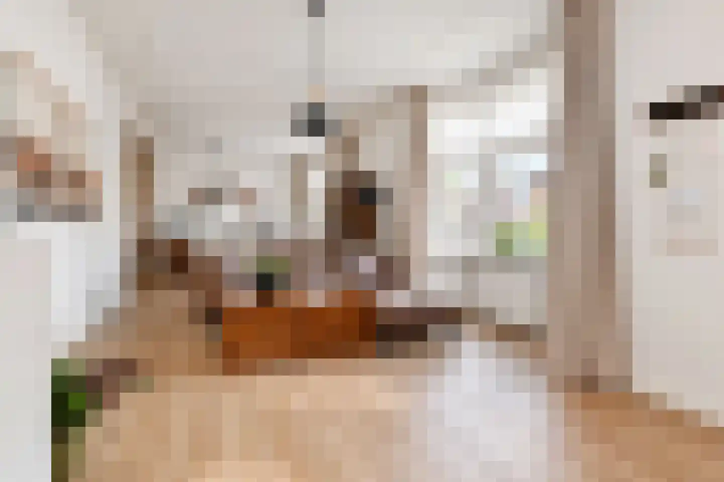 van Arembergelaan 12 Voorburg thumbnail 31