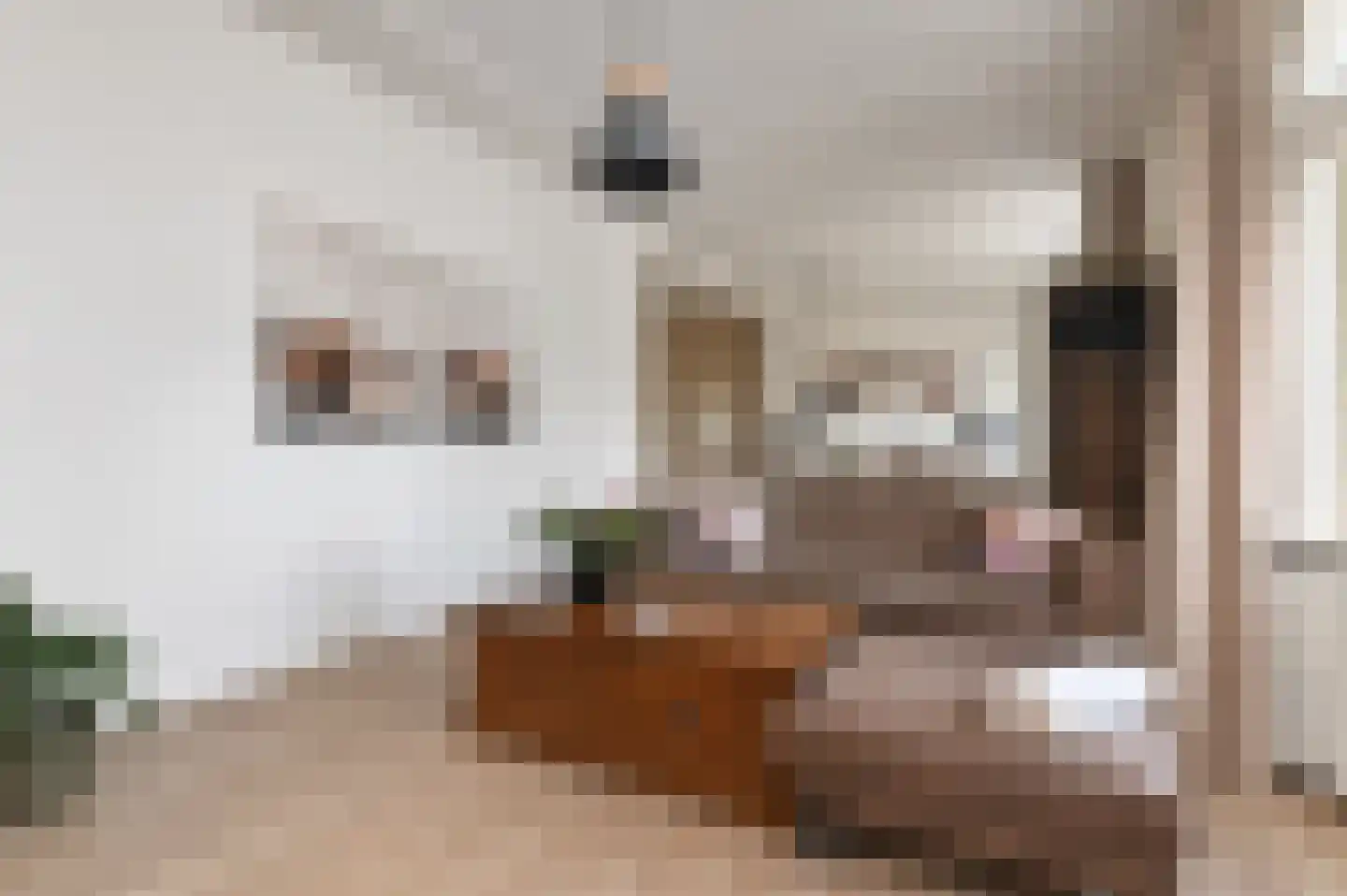 van Arembergelaan 12 Voorburg thumbnail 32