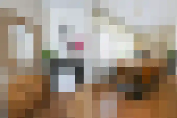van Arembergelaan 123 Voorburg thumbnail 13