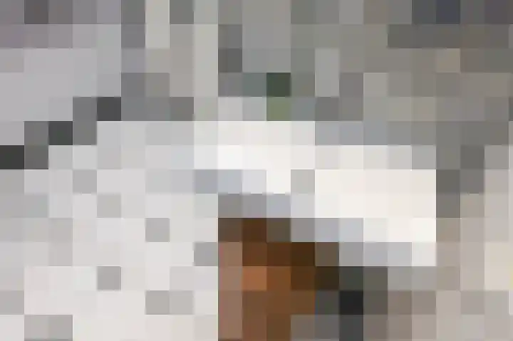 van Arembergelaan 123 Voorburg thumbnail 33