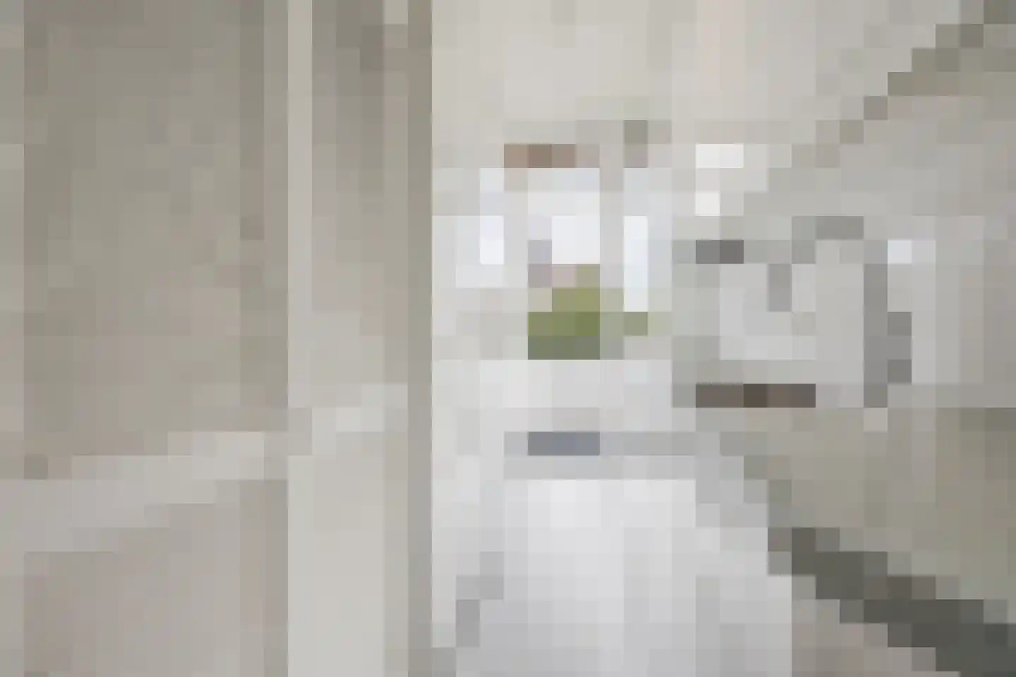 van Arembergelaan 126 Voorburg thumbnail 14