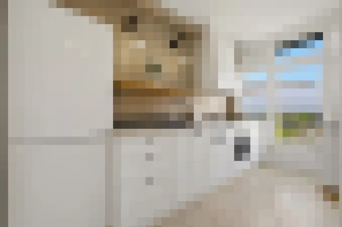 van Arembergelaan 141 Voorburg thumbnail 14