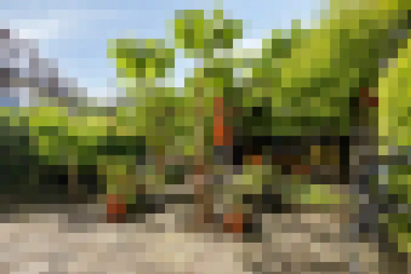 van Arembergelaan 169 Voorburg thumbnail 20