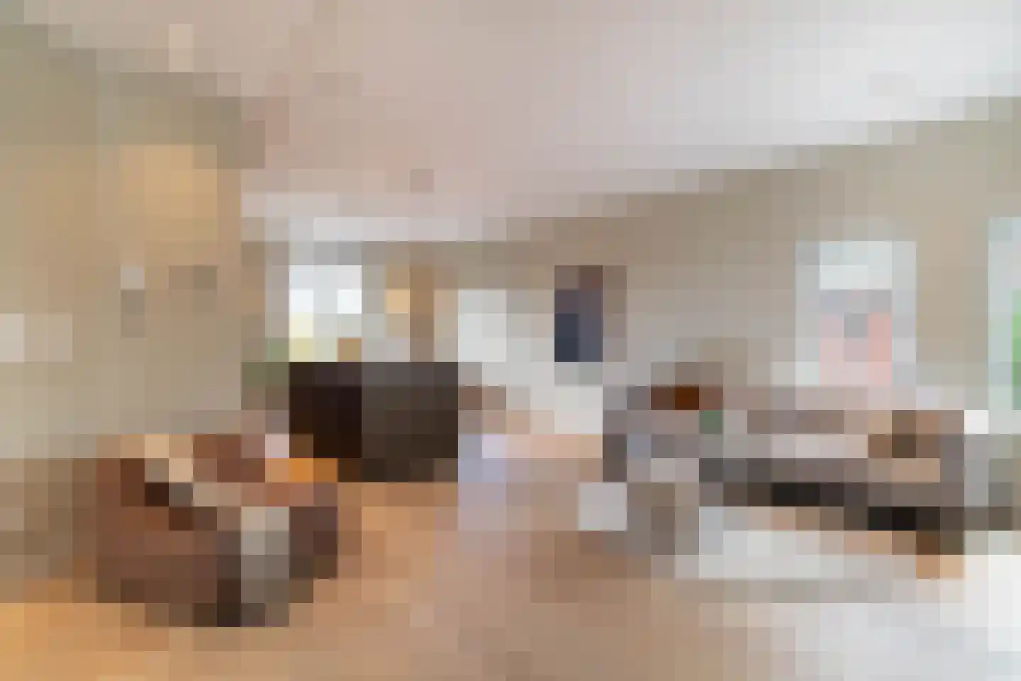 van Arembergelaan 2 B Voorburg thumbnail 12