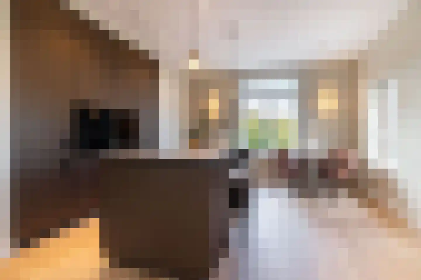 van Arembergelaan 2 B Voorburg thumbnail 16