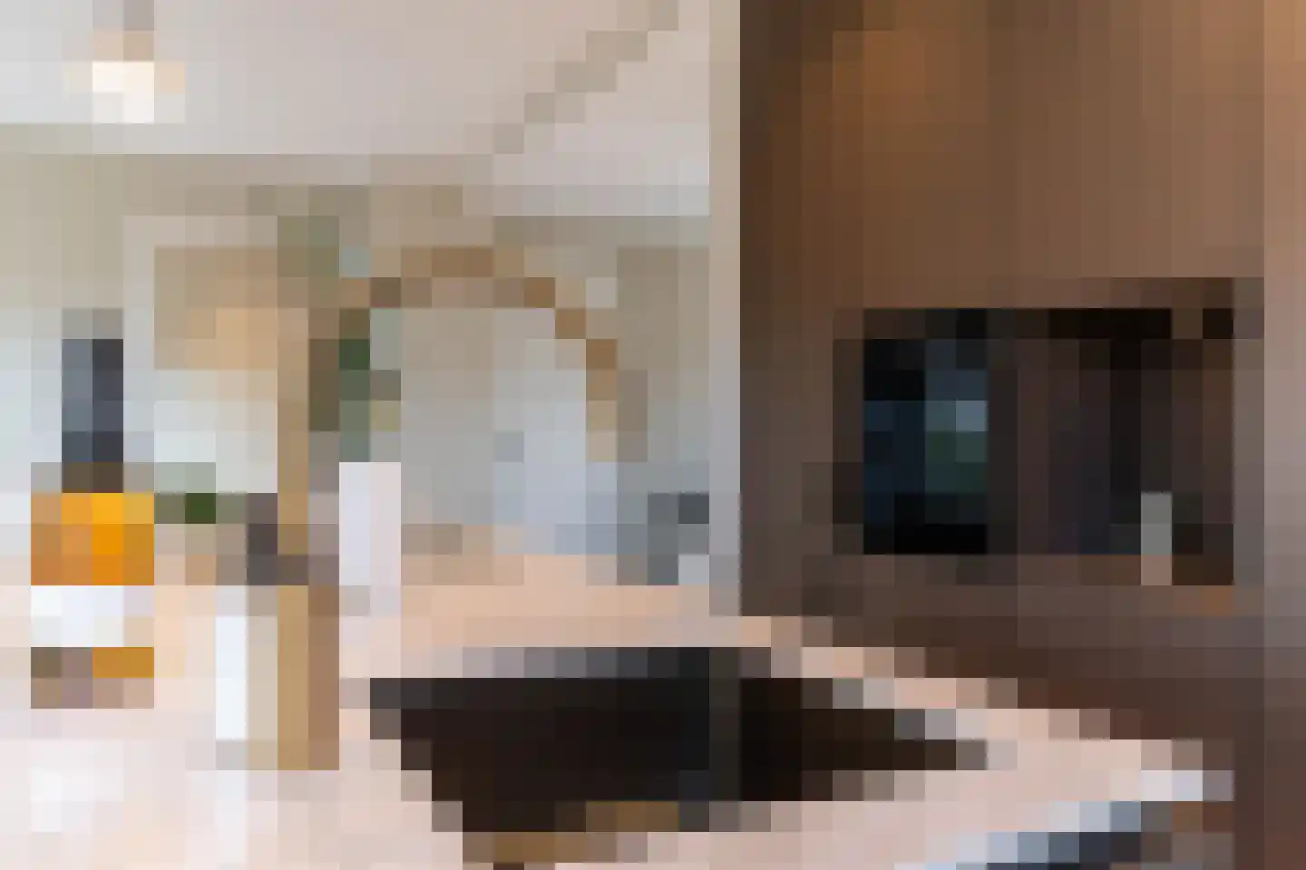 van Arembergelaan 2 B Voorburg thumbnail 20