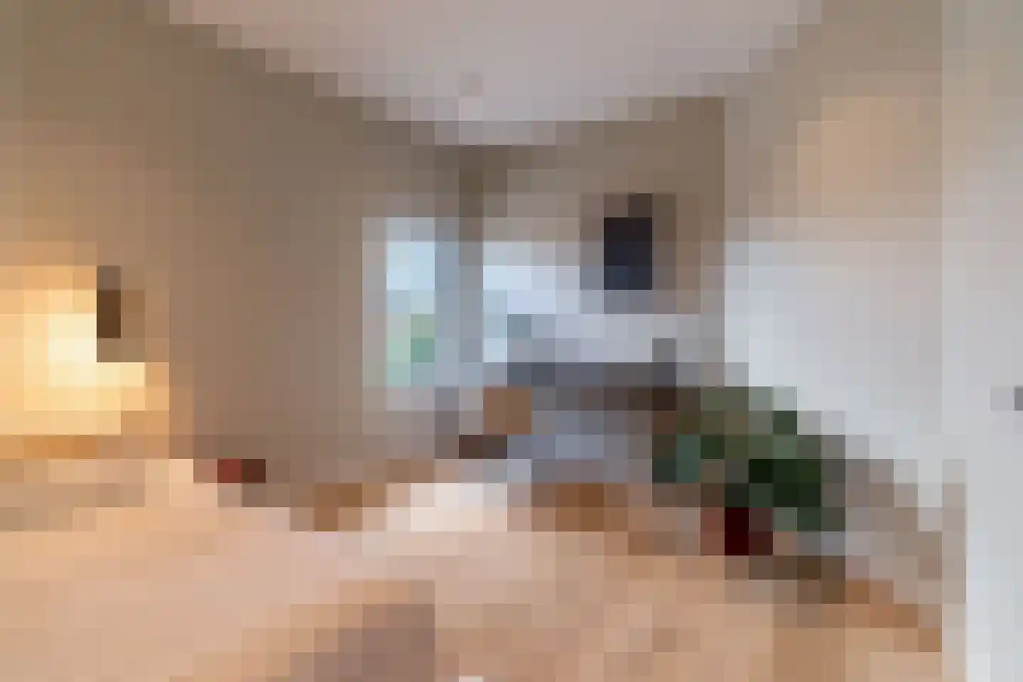 van Arembergelaan 2 B Voorburg thumbnail 23