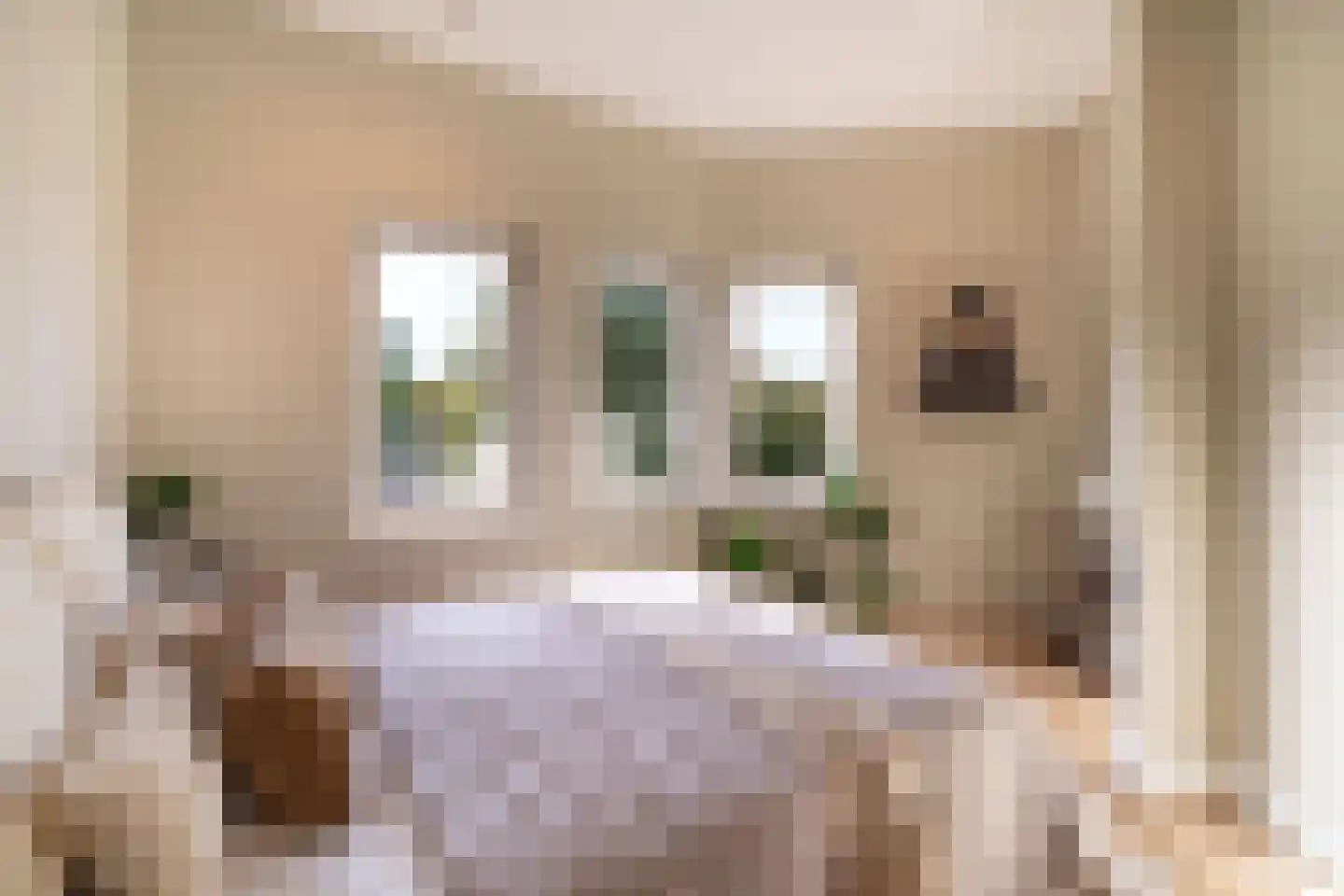 van Arembergelaan 2 B Voorburg thumbnail 27