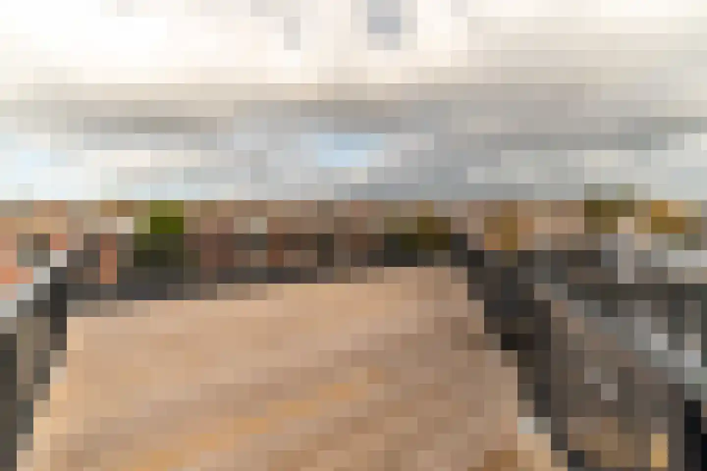 van Arembergelaan 2 B Voorburg thumbnail 36