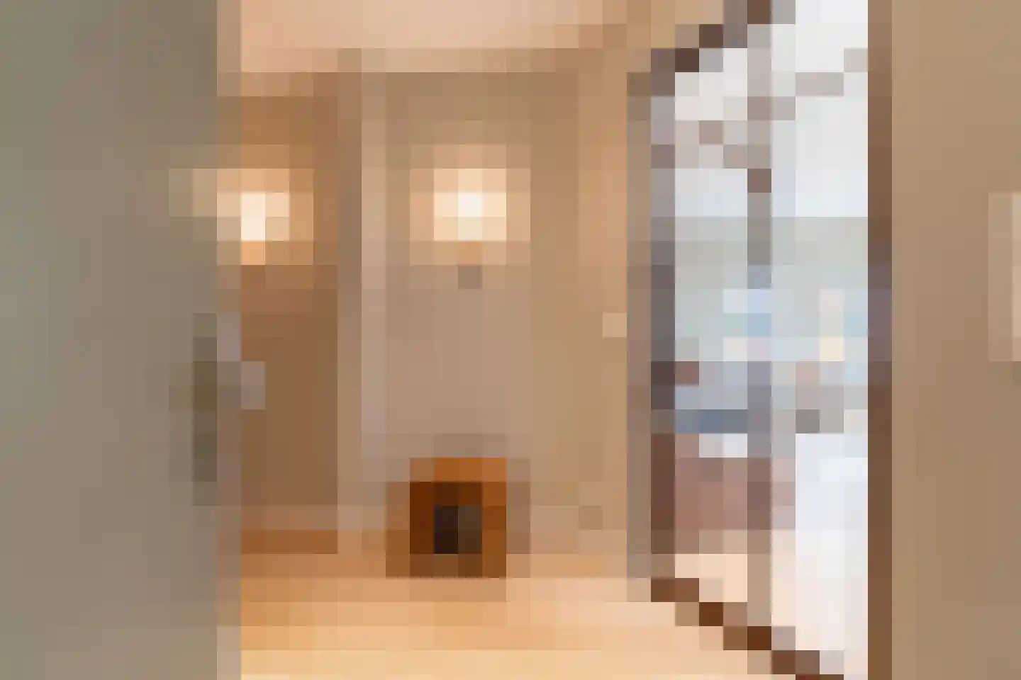 van Arembergelaan 2 B Voorburg thumbnail 8