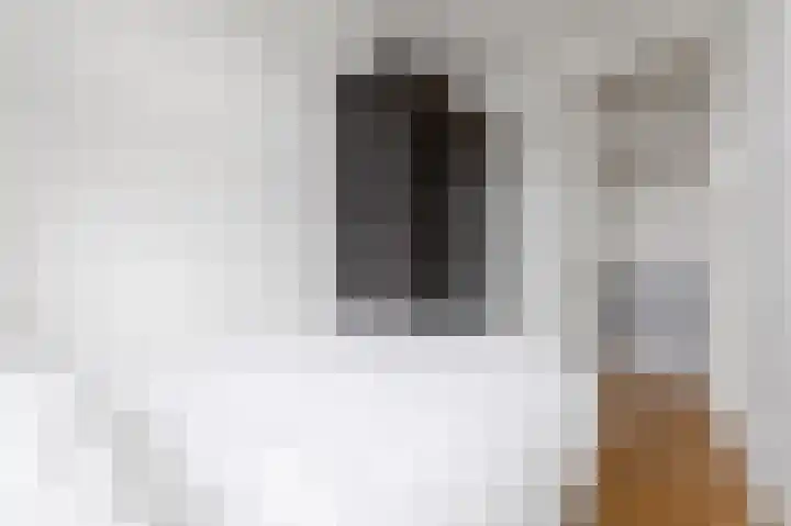 van Arembergelaan 45 Voorburg thumbnail 36