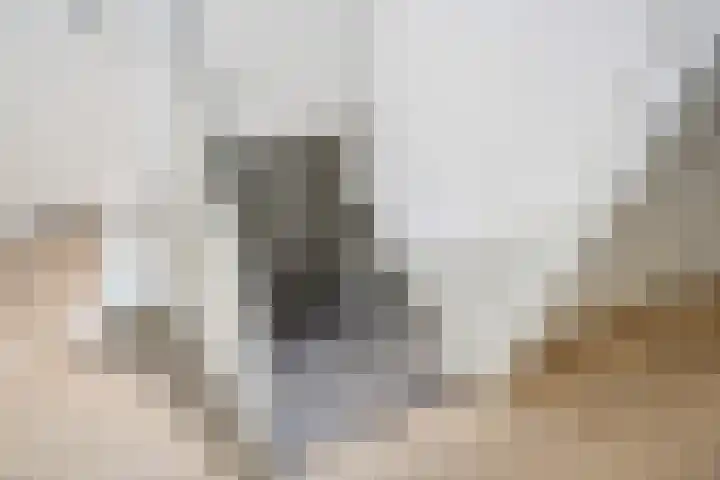 van Arembergelaan 47 Voorburg thumbnail 5