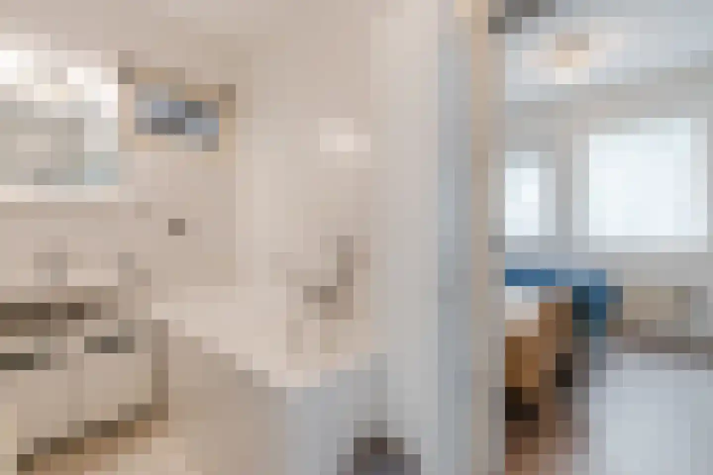 Van Arkellaan 1 Ruurlo thumbnail 14