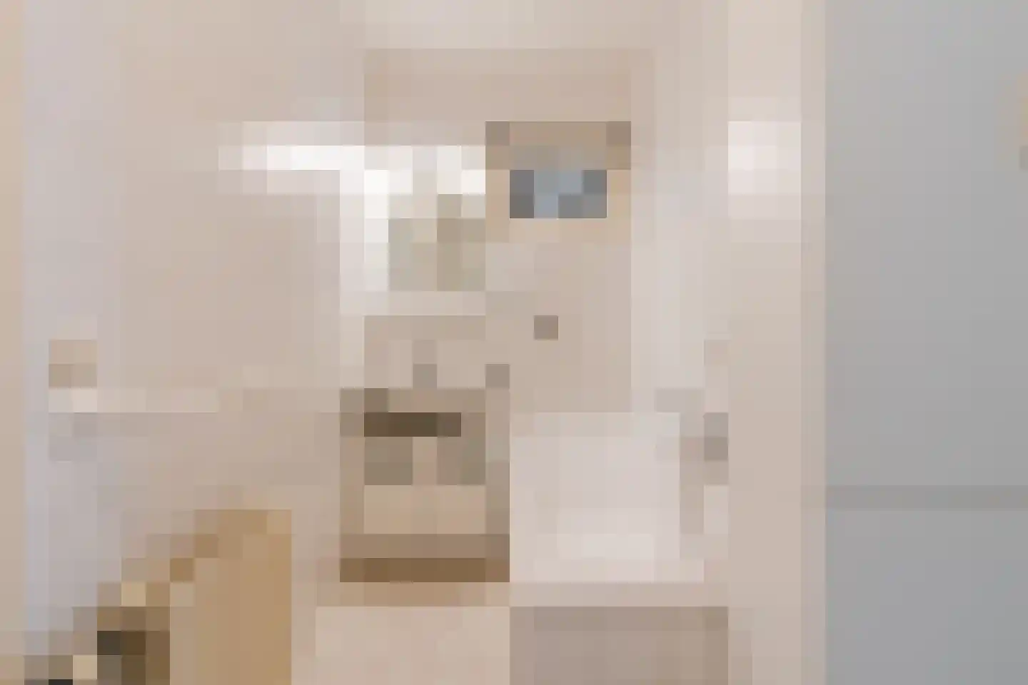 Van Arkellaan 1 Ruurlo thumbnail 15
