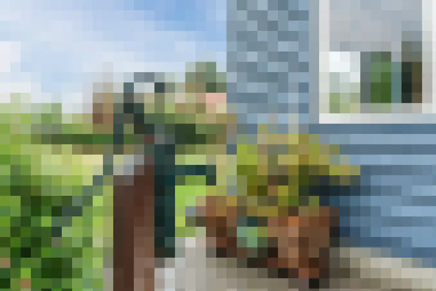 Van Arkellaan 1 Ruurlo thumbnail 40