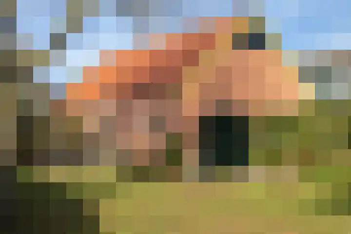 Van Arkellaan 17 Ruurlo thumbnail 27