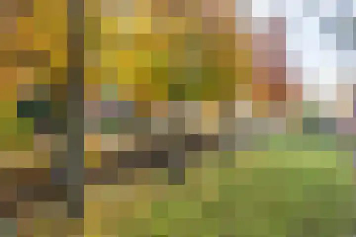 Van Arkellaan 17 Ruurlo thumbnail 32