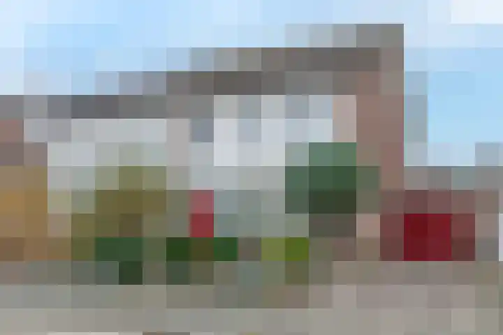 Van Arkellaan 23 Ammerzoden