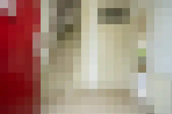 Van Arkellaan 23 Ammerzoden thumbnail 10