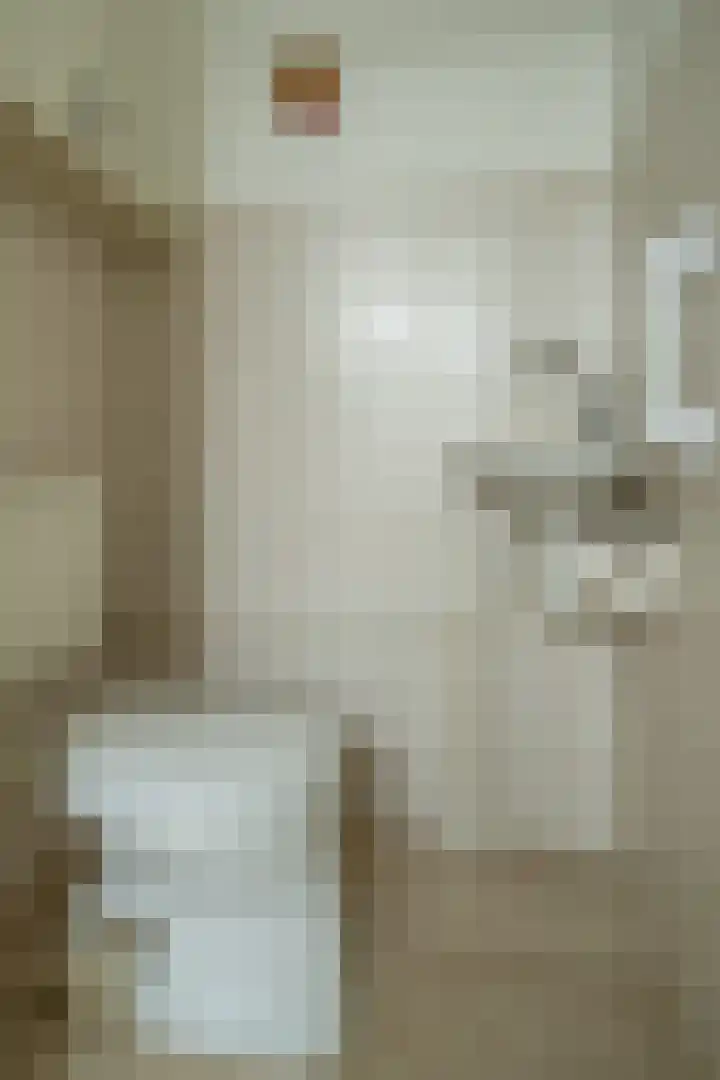 Van Arkellaan 23 Ammerzoden thumbnail 13