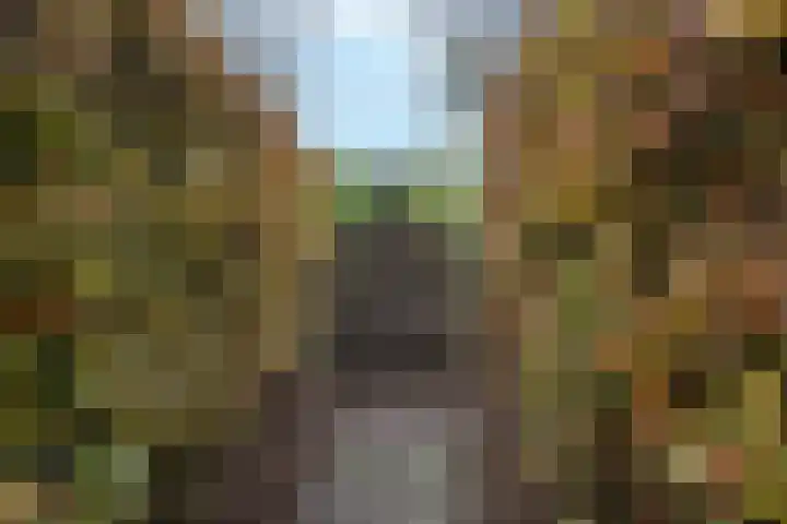 Van Arkellaan 23 Ammerzoden thumbnail 37
