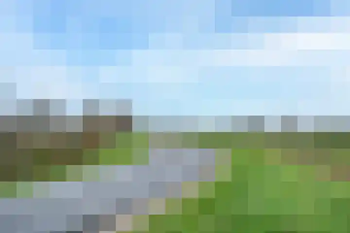 Van Arkellaan 23 Ammerzoden thumbnail 39