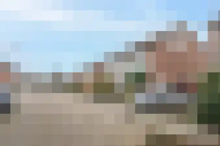 Van Arkellaan 23 Ammerzoden thumbnail 4